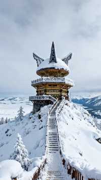 喀納斯禾木冬季遊玩攻略|||以下是一份詳細的喀納斯禾木冬