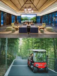 竹海秘境!這酒店絕了!