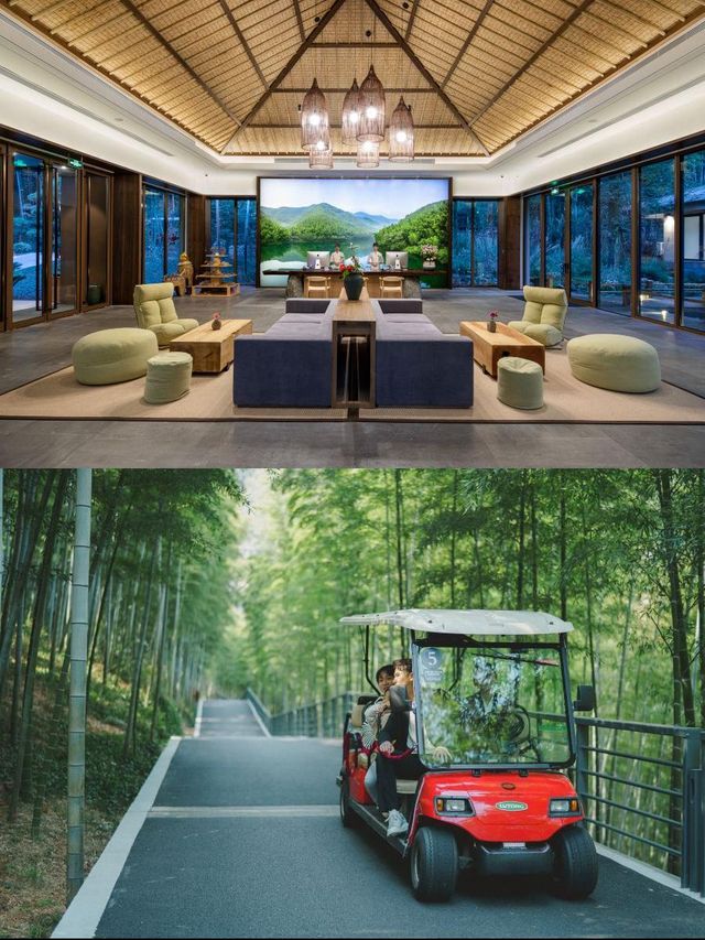 竹海秘境!這酒店絕了! 竹海秘境!這酒店絕了!