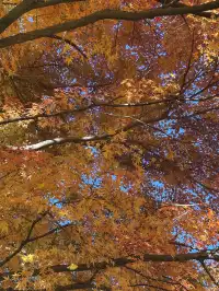 名古屋周邊|隱藏系絕美露營地