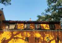 寧波-舟山4日遊手把手教你玩到爽