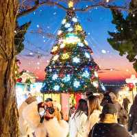 與小鹿撞個滿懷,不必遠赴北歐.·*