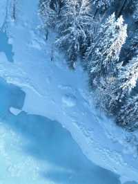 人生建議一定要來感受一次阿勒泰的冬日