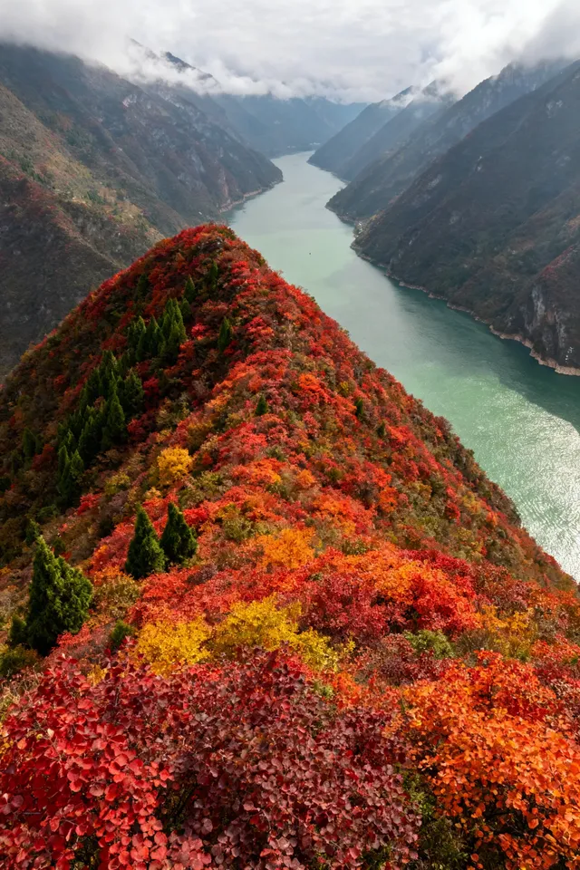 徒步賞秋天花板!這裡的秋日濃度已達90% 徒步賞秋天花板!這裡的秋日濃度已達90%