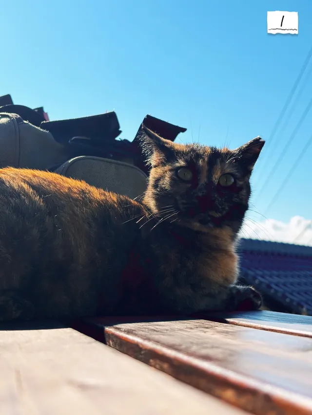 上班族四國三縣旅行｜高松-男木篇