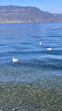 滬滸湖 你美！來瀘滸湖真的不用做太多攻略