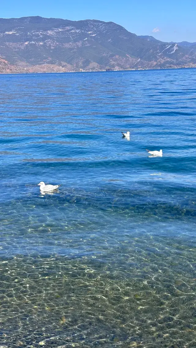 滬滸湖 你美！來瀘滸湖真的不用做太多攻略