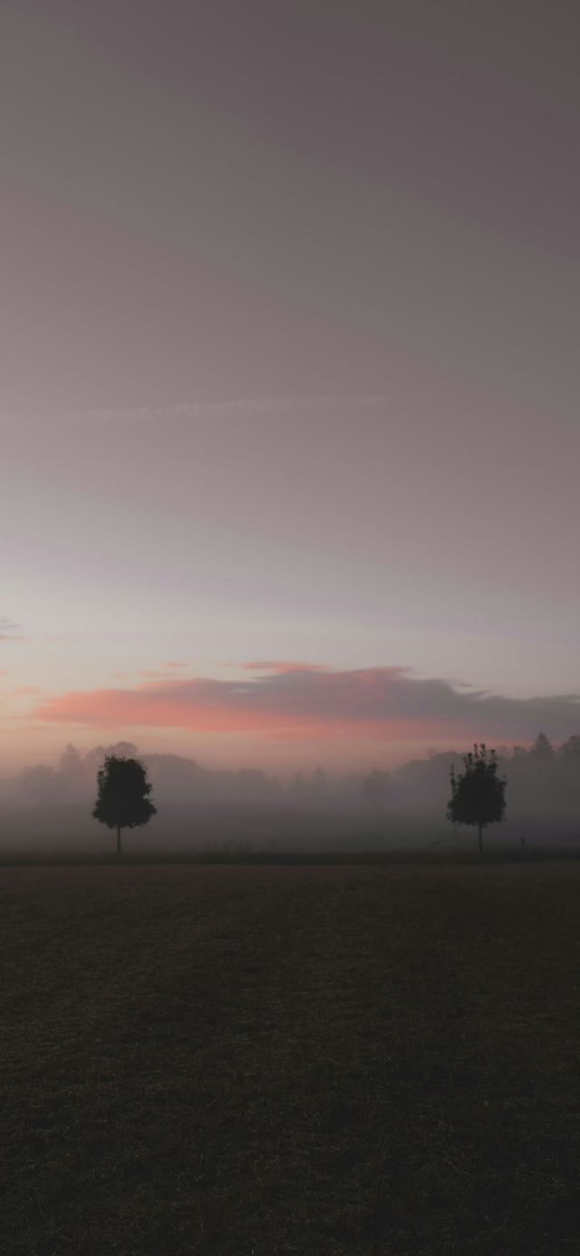 河南5天4夜獨行俠攻略,一個人也可以看盡山川雲海,吃遍中原美食! 行程亮點: • 雲霧繚繞的老 河南5天4夜獨行俠攻略,一個人也可以看盡山川雲海,吃遍中原美食! 行程亮點: • 雲霧繚繞的老