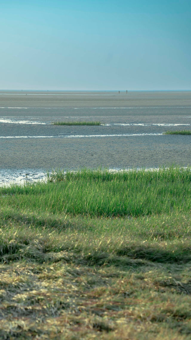 銀灘日出全攻略|附絕美機位+調色參數 銀灘日出全攻略|附絕美機位+調色參數