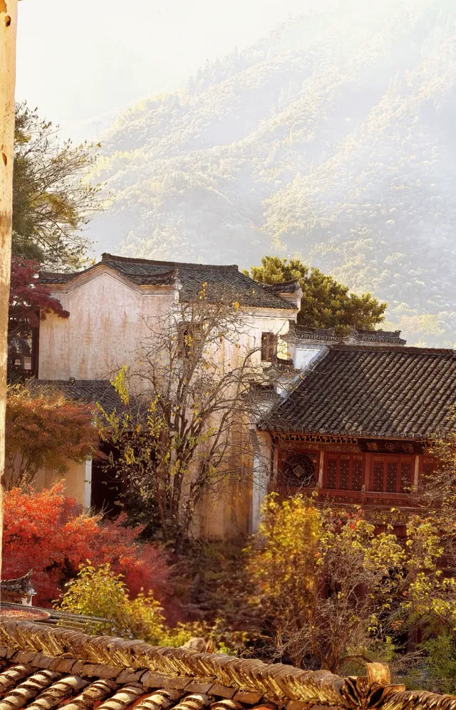 國家地理誠不我欺!婺源篁嶺曬秋絕了 國家地理誠不我欺!婺源篁嶺曬秋絕了