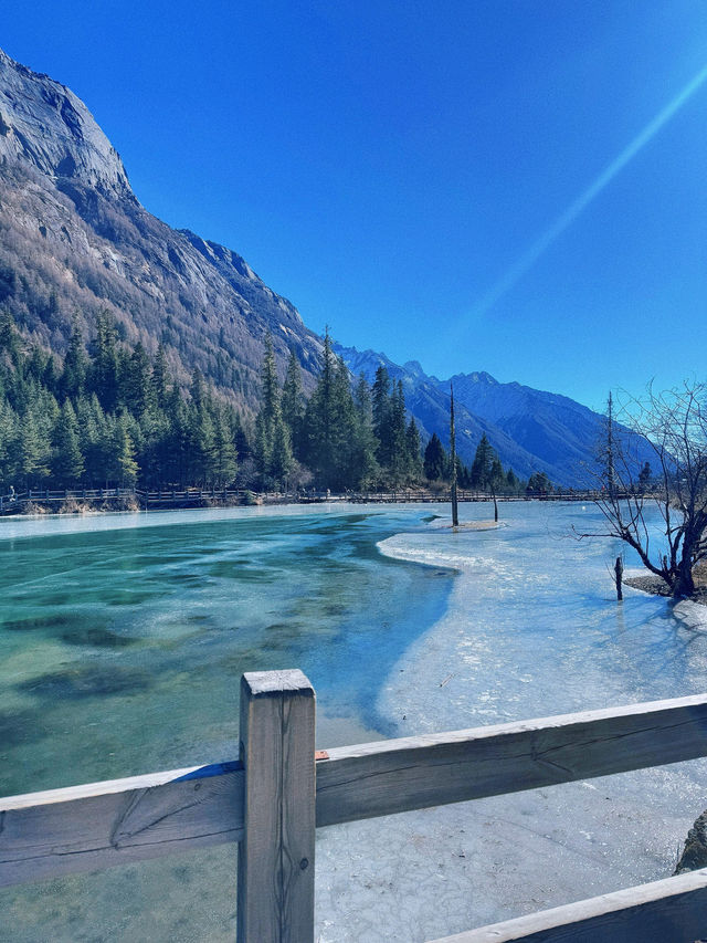 沉浸式體驗 『理小路』