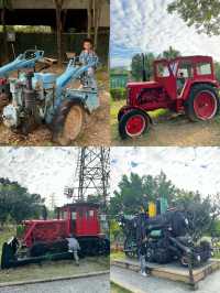 順德小眾寶藏地,拍出電影感大片