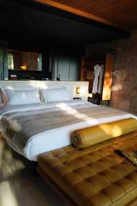 藏在了雨林秘境裡