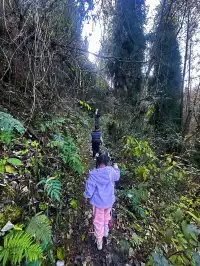 成都霧霾天的救命徒步!蒲虹路6公里,拿捏!