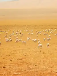 北京自駕阿爾山追秋