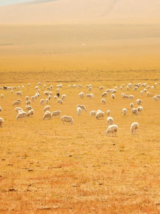 北京自駕阿爾山追秋 北京自駕阿爾山追秋