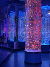 沉浸式墜入深海星穹，治癒與出片雙滿分～