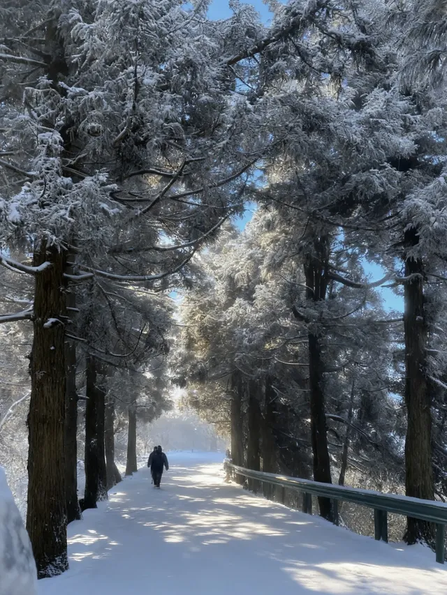 廣東人狂喜!成功在衡山追到初雪(附攻略 廣東人狂喜!成功在衡山追到初雪(附攻略