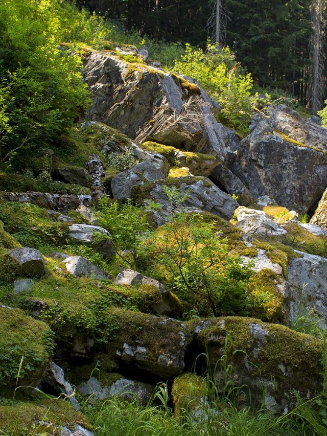 17天冬遊加拿大 錯過等一年 17天冬遊加拿大 錯過等一年