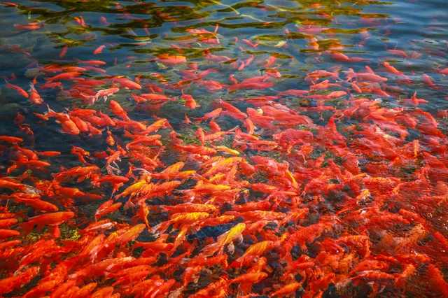 這麼近那麼美 週末真的到河北! 這麼近那麼美 週末真的到河北!