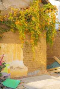 昆明滇池拍照打卡攻略，不可錯過的好地方