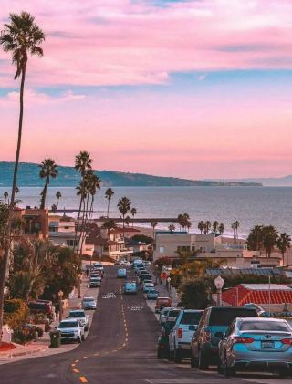 사막 속의 영감 뮤즈: 피닉스