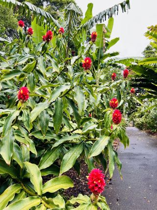 คู่มือเที่ยวออสเตรเลีย 6 วันช่วงปีใหม่มาแล้ว