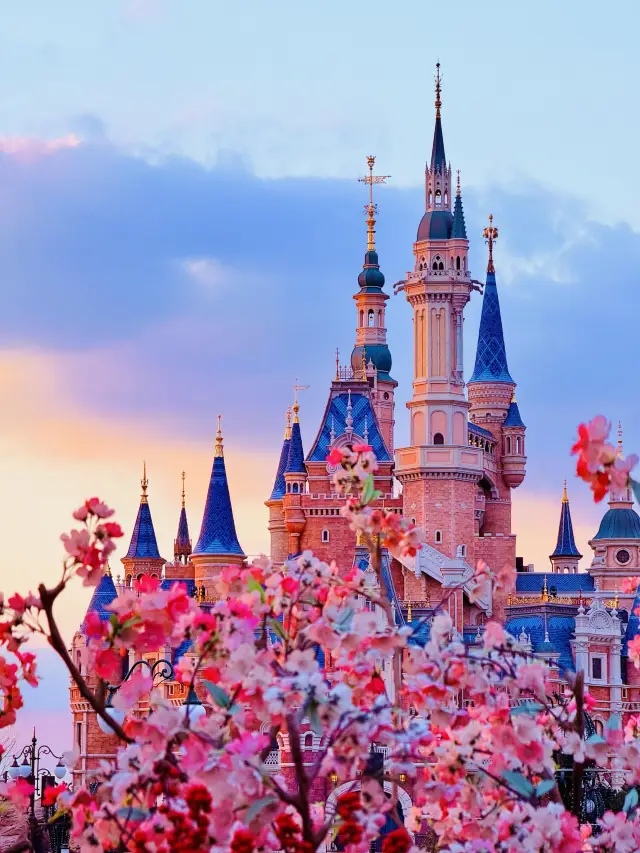 今天1.21迪士尼的夕陽美爆了啊