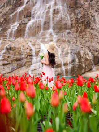 คุณต้องไปเยือนเป่าฉวนเพื่อชมดอกทิวลิปในฤดูใบไม้ผลิให้ได้! (มีคู่มือท่องเที่ยวให้ด้วย)