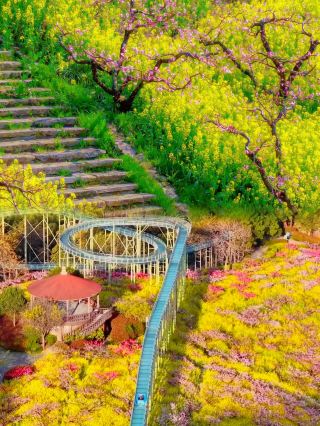 มีคนถามฉันเยอะมากเลย! มันไม่ใช่เรื่องเกี่ยวกับสถานที่ท่องเที่ยวต่างประเทศหรอกนะคะ แต่เป็นเรื่องเกี่ยวกับสถานที่โรแมนติกที่สุดในฤดูใบไม้ผลิในหุบเขาของเมืองฉางซิงต่างหาก