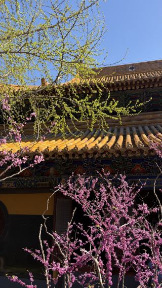 Two days and one night trip to Putuo