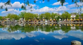 Color Walk Unlocks the Spring Colors of Shandong