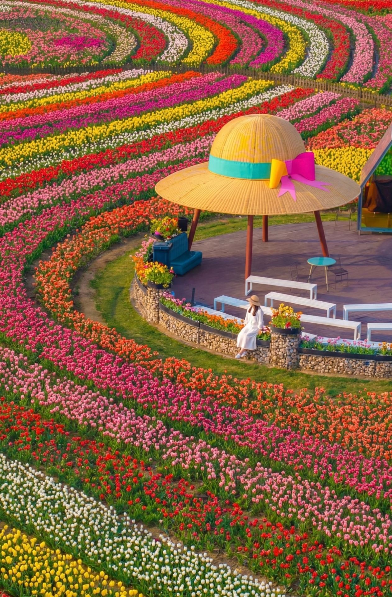 Yancheng Holland Flower Sea Nanny-Level Guide｜Instantly Transport to a Dutch Town, Perfect for Romantic Photos!