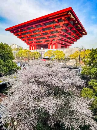 Who doesn't know about this Shanghai World Expo Citywalk route? It's incredibly popular!