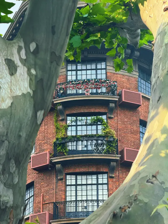 Springtime Strolling in Shanghai’s Wutong District｜From Quiet Hidden Gems to Everyday Life’s Warmth