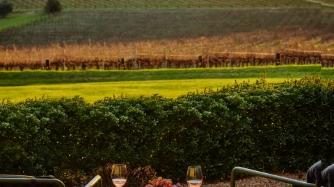 Luxury and privacy, embark on a romantic getaway — traveler post in Adelaide