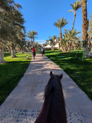 An Unforgettable Getaway with Exceptional Team and Activities