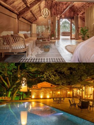Drive 1 hour from Changsha! Mountain forest treehouse homestay｜Once you bring the kids, you won’t want to leave