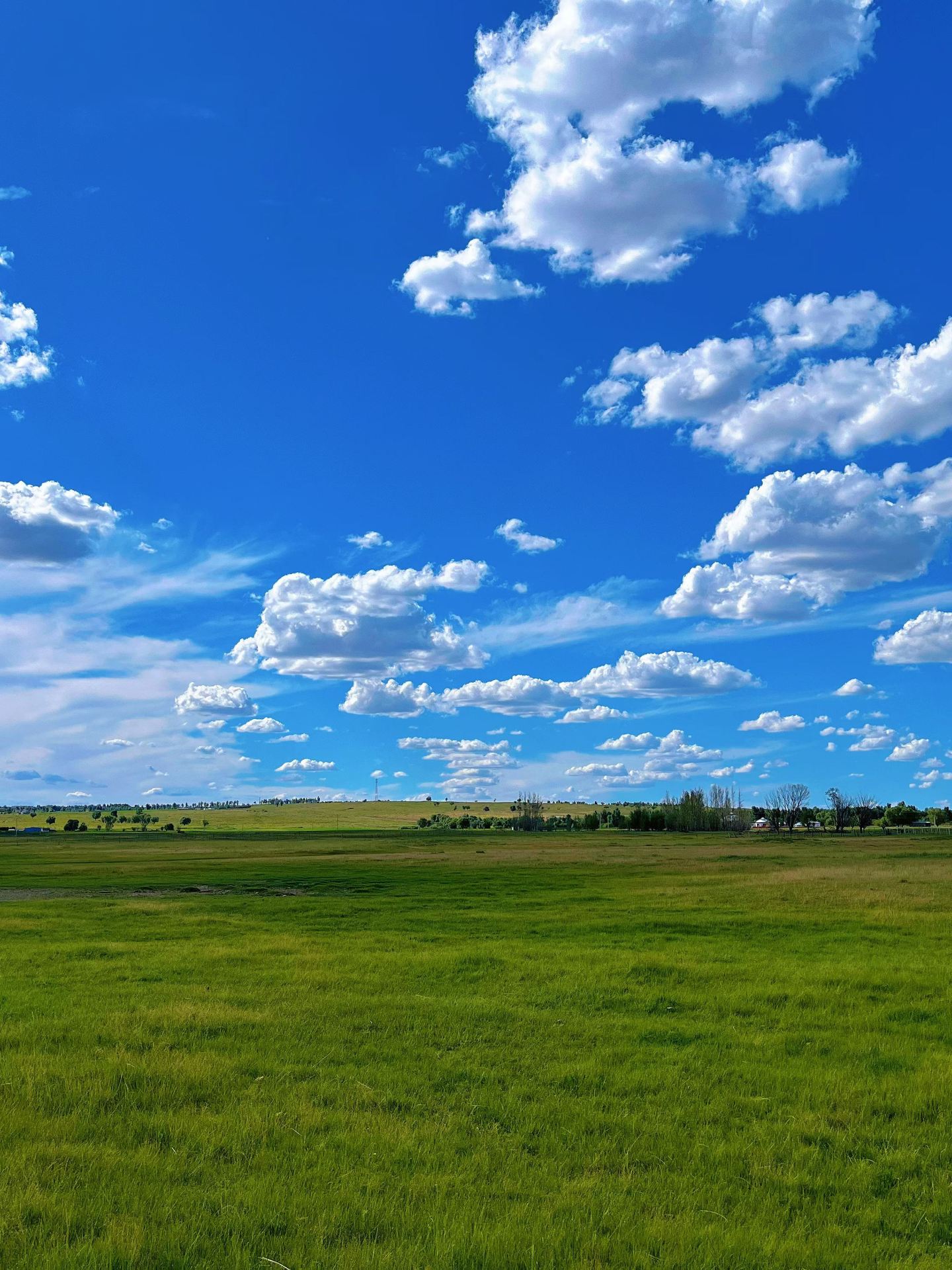 4-day summer Ordos travel guide is totally worth it