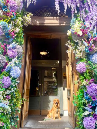 Wonderful Stay for Both Us and Our Dog