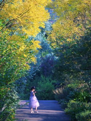 Stay in the Forest | A Dreamy Escape