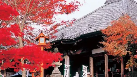 6-day Japan travel guide: copy this itinerary directly — traveler post in Ena