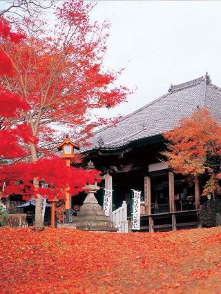 6-day Japan travel guide: copy this itinerary directly