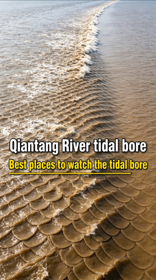 Autumn check-in at the Qiantang River, the rivers, hills, and old streets are instantly soothing