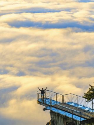 양시목 입장료는 100위안입니다. 우궁산에 인접한 "중국의 축복받은 산"인 양시목은 운해가 장관을 이룹니다.