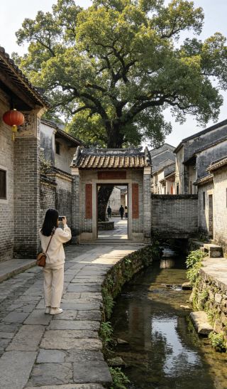 누가 알겠어! 광둥에 숨은 평범한 펑황고성 대체재가 있다니
