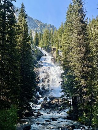 小長休みにアメリカを遊び尽くす！5日間の旅程を今すぐ保存