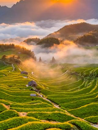 The legendary autumn at Yunhe Rice Terraces