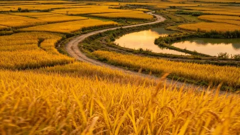 雲南省南東部に隠された水墨画のような秘境、秋こそがその輝く瞬間 — traveler post in 寧蒗
