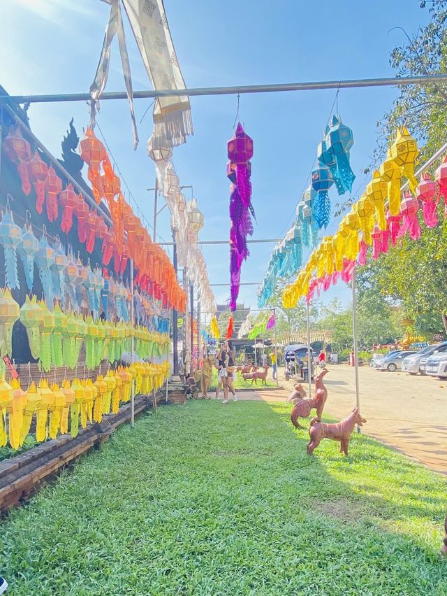 รดน้ำพระเจดีย์ | วัดโลกโมฬี | เชียงใหม่